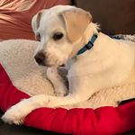 Joann Ness - @ness.joann - Instagram
