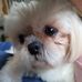 JoAnn Newcomb - Facebook