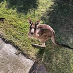 Joann Nicholson - @nicholson_joann - Instagram