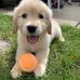 Joann Venturini ODonnell - Facebook