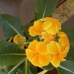 Joanne Odonnell - @joanne.odonnell.9406 - Instagram