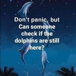 Joanne O'Donnell - @joanne.od - Instagram