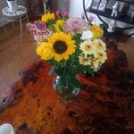 Jo Ann Palumbo - @palumbojoann074 - Instagram