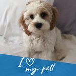 Jo Ann Palumbo - @jap_1950 - Instagram