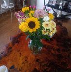 Jo Ann Palumbo - Facebook