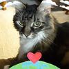 JoAnn Patrick - @jhaleplace24 - TikTok