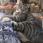 JoAnn Patrick - @jhaleplace24 - Instagram