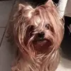 JoAnne Boyd Perdue - @joanneboydperdue - TikTok