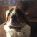 Joann Poe Norris - Facebook