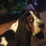 Joann Poe Norris - @norris_joann - Instagram