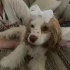 joanne_ponders - @joanne_ponders - TikTok