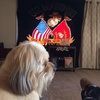 Jo Ann Post - @2181216403 - TikTok