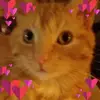 joannerichey909 - @joannerichey909 - TikTok