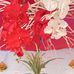 Joann bayato rios - Facebook