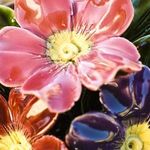 Joann Marie Rivers - @joannmariepottery - Instagram