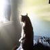 Joann Roesch - Facebook