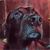 JoAnne Troesch - @joannetroesch - TikTok