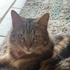 JoAnn_7 - @joannroot7 - TikTok