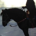 Jo-Ann Wuychuk Rosenkranz - @joannrosenkranz - Instagram