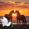 Joanne Rountree - @joanne.rountree - TikTok