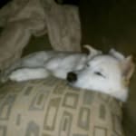 JoAnn Rouse - @trooners - Instagram