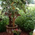 JoAnn Rupp - Facebook