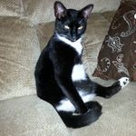Joan Rushing - @jrushing65 - Instagram