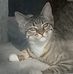 Joann Rushing - Facebook