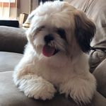 Joann Salazar - @joann_avicolli_salazar - Instagram