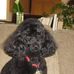 Jo Ann Sargent - Facebook