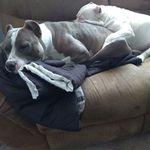 Joann Sargent - @joann.sargent.754 - Instagram