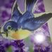 Joanne Sauer - Facebook