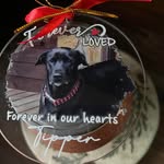 JoAnn Schmidt - @joannschmidt11 - Instagram