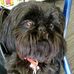 Jo Ann Self - Facebook