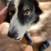 John Selvidge - @john.selvidge - TikTok