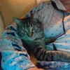 Joann Sexton892 - @user044019024 - TikTok