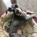Joanne Sharp - Facebook