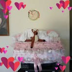 Joanna Shaver - Facebook