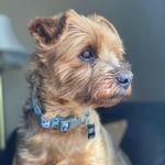 JoAnn Simons Nadeau - @nadeaujoann - Instagram