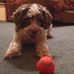 Joann Snell - Facebook