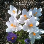 Joann Sparks - @sparks_joann - Instagram