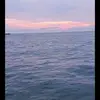 joannsparks0 - @joannsparks0 - TikTok