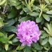 JoAnn Spencer - Facebook