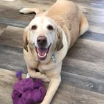 JoAnn Spencer - @joann.spencer.96199 - Instagram