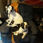 JoAnn Spencer - @joann.spencer.5268750 - Instagram