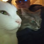 JoAnn Spencer - @joann.kumme.spencer - Instagram