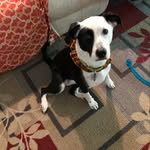 JoAnn Stanfield - @hummer_stanfield - Instagram