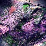 Joanne Stapleton - @jls50photography - Instagram