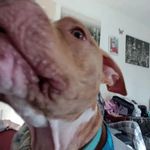 Joanne Stapleton - @blondie311967 - Instagram