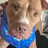 Joanne Stapleton - @joanne.stapleton - TikTok